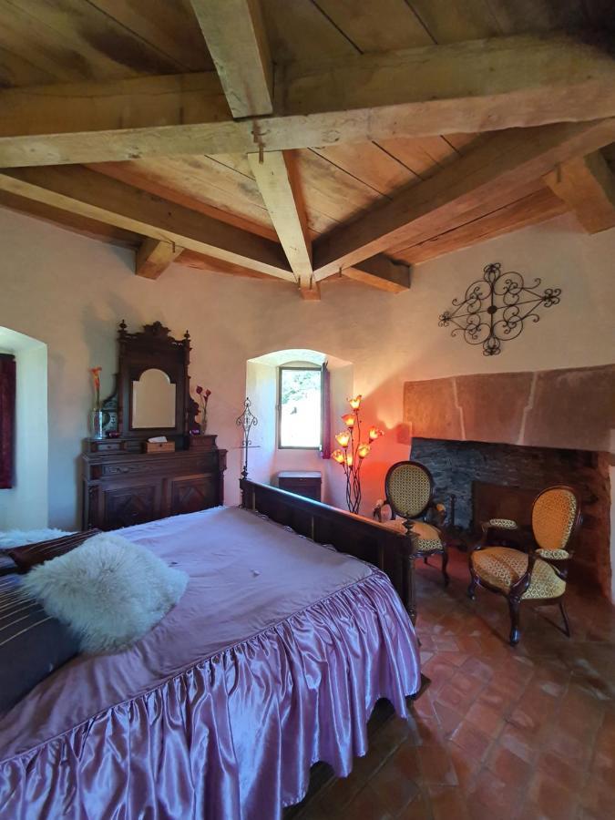 Chambre D'Hotes Au Chateau De Belcastel Belcastel  エクステリア 写真