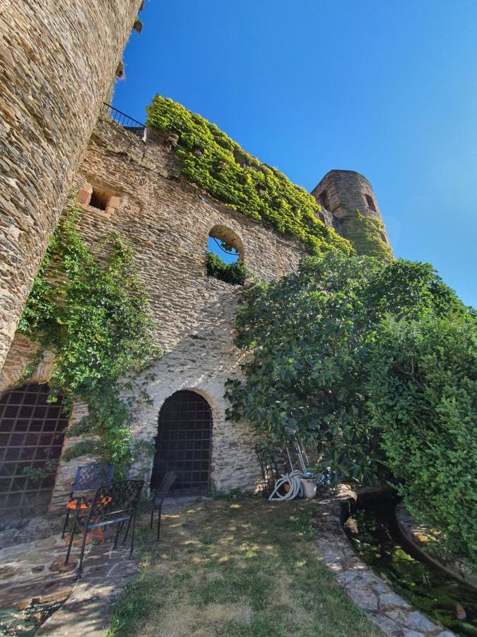 Chambre D'Hotes Au Chateau De Belcastel Belcastel  エクステリア 写真
