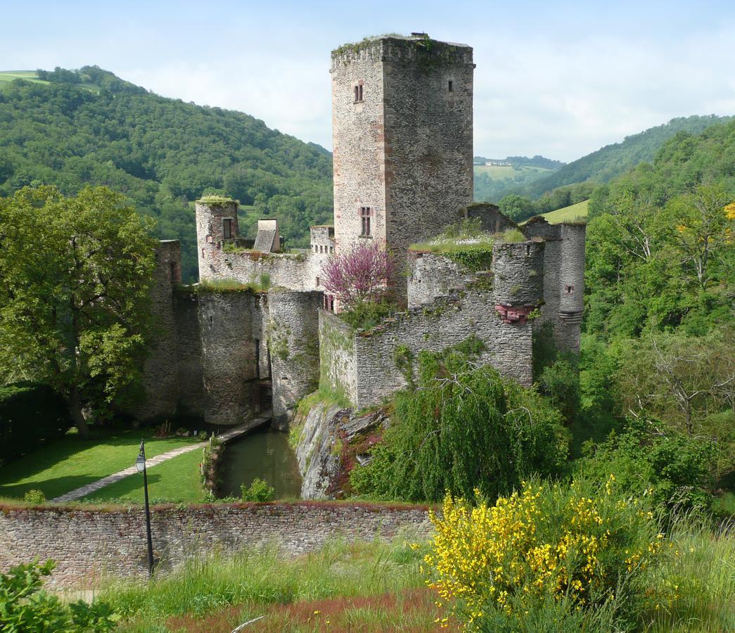 Chambre D'Hotes Au Chateau De Belcastel Belcastel  エクステリア 写真